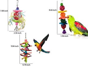 img 1 attached to Parakeets Parakeet Toys Parrot Cockatiels， Accessories，Budgie