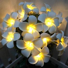 img 4 attached to Enhance Your Décor with Plumeria String Lights: Fantasee Foam Artificial Plumeria Flower LED String Lights - Battery Operated Fairy Lights Perfect for Bedroom, Home, Wedding, Hawaiian Luau Party Decor (9.8ft 20LED, Warm White)