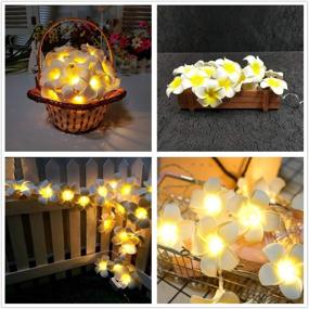 img 3 attached to Enhance Your Décor with Plumeria String Lights: Fantasee Foam Artificial Plumeria Flower LED String Lights - Battery Operated Fairy Lights Perfect for Bedroom, Home, Wedding, Hawaiian Luau Party Decor (9.8ft 20LED, Warm White)