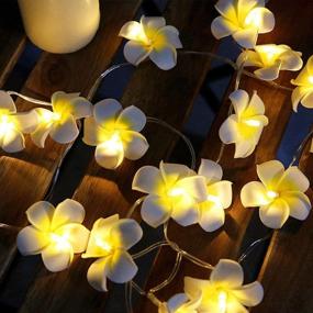 img 1 attached to Enhance Your Décor with Plumeria String Lights: Fantasee Foam Artificial Plumeria Flower LED String Lights - Battery Operated Fairy Lights Perfect for Bedroom, Home, Wedding, Hawaiian Luau Party Decor (9.8ft 20LED, Warm White)