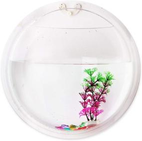 img 4 attached to 🐠 Clear Acrylic Bubble Wall Mounted Hanging Fish Tank Decor by driew - 11.6in Round Vase Flower Plant Pot Betta Aquarium