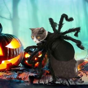 img 3 attached to 🕷️ Костюм для собаки или кота на Хэллоуин - пугающий костюм для домашних животных, вечеринка, поставки и украшения, регулируемый велкро для маленьких и средних собак и кошек.