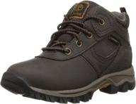 стильные и прочные: кроссовки для мальчиков timberland maddsen waterproof chukka brown логотип