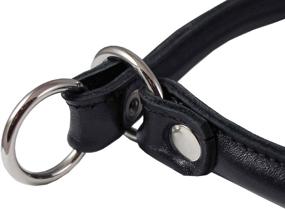 img 2 attached to Round Genuine Rolled Leather Collar Dogs for Training & Behavior Aids