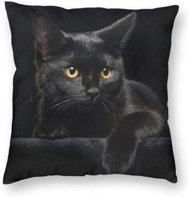 img 4 attached to 🐱 Cute Black Cat with Yellow Eyes Throw Pillow Covers - 18x18 Inch Square Pillows Case, Decorative Cushion Cover with Zipper for Sofa, Couch, Bed, Patio, Car - Home Decor