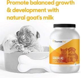 img 2 attached to 🐐 Thomas Pet Goatalac - Nutrient-Rich Goat Milk Formula for Puppies & Kittens with Sensitive Digestive Systems - 4 Pounds Powder Replacer for Healthy Development