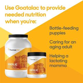 img 3 attached to 🐐 Thomas Pet Goatalac - Nutrient-Rich Goat Milk Formula for Puppies & Kittens with Sensitive Digestive Systems - 4 Pounds Powder Replacer for Healthy Development