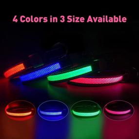 img 3 attached to USB Rechargeable LED Dog Collar for Night Walking - Enhancing Visibility & Safety, Basic Dog Collars