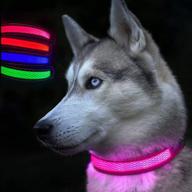 usb rechargeable led dog collar for night walking - enhancing visibility & safety, basic dog collars logo