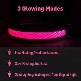 img 2 attached to USB Rechargeable LED Dog Collar for Night Walking - Enhancing Visibility & Safety, Basic Dog Collars