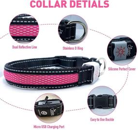 img 1 attached to USB Rechargeable LED Dog Collar for Night Walking - Enhancing Visibility & Safety, Basic Dog Collars