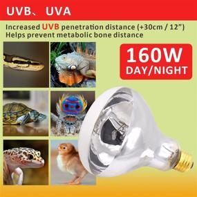 img 2 attached to 🦎 AIICIOO UVB Reptile Light 160W - All-in-One Sun Lamp for Reptile Bearded Dragon with Mercury Vapor Basking Heat, UVA, and UVB