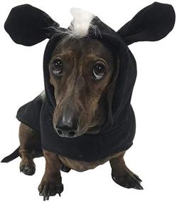 img 1 attached to 🦨 Midlee Skunk Dog Costume: Unleash Fun and Adorable Skunk Look for Your Pooch