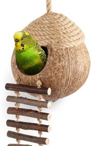 img 4 attached to 🏡 Coconut Bird Nest Hut with Ladder: Ideal Parrot Parakeet Conure Cockatiel Habitat Cage - Small Animal House Decor