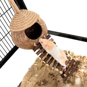 img 1 attached to 🏡 Coconut Bird Nest Hut with Ladder: Ideal Parrot Parakeet Conure Cockatiel Habitat Cage - Small Animal House Decor