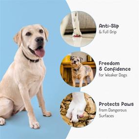 img 3 attached to 🐾 My Furry Amigo Dog Paw Grips - Paw Protectors for Safer Paws on Slippery Floors- Indoor and Outdoor Protection with Full Paw Friction - 100% Hypoallergenic Traction Pads