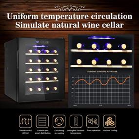 img 1 attached to 🍷 Premium 20 Bottle Freestanding Wine Cooler Refrigerator - Quiet Compressor, Digital Temperature Control, Glass Door, Black Finish