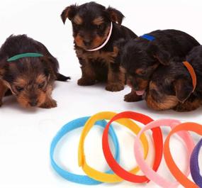 img 1 attached to 🐶 Waybas 45 PCS Puppy ID Collars Whelping Collars for Small Puppies Litter - Double-Sided Soft Adjustable Bands for Puppy Identification - Newborn Pet Dog Cat Kitten - 3 Sizes