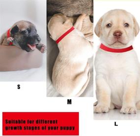 img 2 attached to 🐶 Waybas 45 PCS Puppy ID Collars Whelping Collars for Small Puppies Litter - Double-Sided Soft Adjustable Bands for Puppy Identification - Newborn Pet Dog Cat Kitten - 3 Sizes