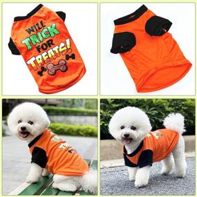 img 2 attached to PETCARE 4 Pack Dog Shirt: Cute Cartoon Print T Shirts for Small Dogs - Soft Cotton, Ideal for Chihuahua, Yorkies, Shih Tzu, Pomeranian - Doggy Pullover Outfits & Sweatshirts