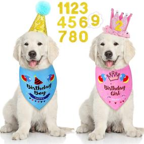 img 4 attached to Ratar Dog Birthday Party Supplies: 2 Bandanas, 🐶 2 Hats & 10 Outfits for Dog's Special Day