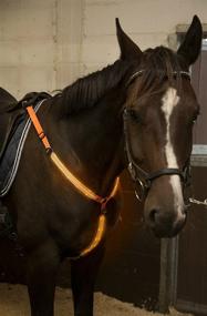 img 2 attached to 🐴 LED Horse Breastplate Collar - Enhance Horse Visibility for Safe Riding - USB Rechargeable, Adjustable & Comfortable - The Best Equestrian Safety Gear