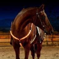 🐴 led horse breastplate collar - enhance horse visibility for safe riding - usb rechargeable, adjustable & comfortable - the best equestrian safety gear logo