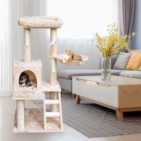 img 3 attached to 🐱 67i Multi-Level Cat Tree Condo Tower with Scratching Posts & Hammock - 43 Inches Tall - Activity Play House Furniture for Indoor Cats and Kittens