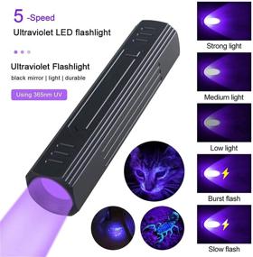 img 1 attached to 🔦 Wood's Lamp Black Light Flashlight: Effective Cat and Dog Ringworm Detector, Urine and Skin Care Analysis, Bed Bug Inspection - A Must-Have for Pet Owners and Doctors