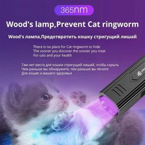 img 2 attached to 🔦 Wood's Lamp Black Light Flashlight: Effective Cat and Dog Ringworm Detector, Urine and Skin Care Analysis, Bed Bug Inspection - A Must-Have for Pet Owners and Doctors