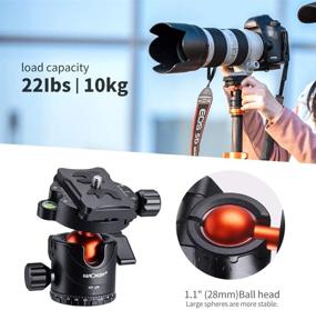 img 3 attached to 📷 68" Углеродное волокно камеры штатив от K&F Concept: SA255C1 Легкий и компактный штатив с 360-градусной шаровой головкой, быстрой пластиной для съемки и моноподом. Поддерживает до 10 кг грузоподъемности, идеально подходит для зеркальных, беззеркальных и цифровых камер/камкордеров.