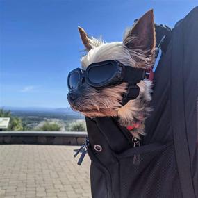 img 3 attached to 🕶️ Protective Mini Dog Sunglasses: Ultimate Eye Shield for Small Dogs - UV, Wind, and Snowproof Eyewear for Puppies and Kittens