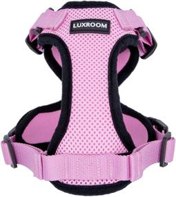 img 1 attached to Luxroom Harness Walking Adjustable Rabbits Cats for Collars, Harnesses & Leashes