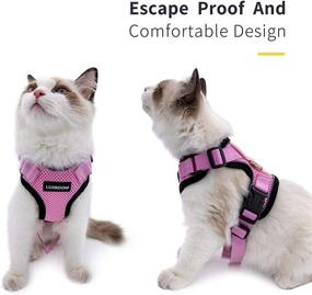 img 3 attached to Luxroom Harness Walking Adjustable Rabbits Cats for Collars, Harnesses & Leashes