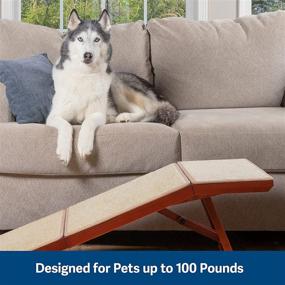 img 1 attached to 🛋️ PetSafe CozyUp Dog Sofa Ramp - Folding Wood Dog Ramp for Couches and Sofas - Indoor Pet Ramp with Non-Slip Carpet, Holds up to 100 lb - Easy Storage & Couch Access for Dogs and Cats