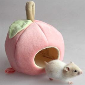 img 3 attached to 🐹 Warm Hanging Fruit House Hammock Bed Nest for Hamster Guinea Pig Hedgehog Chinchilla & Small Animals - ANIAC Pet Winter Accessories