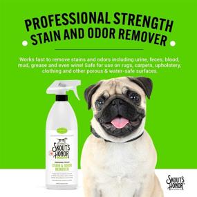 img 1 attached to 🐾 Skout’s Honor: Professional Strength Stain and Odor Remover - 35 oz. Trigger Spray Bottle - Versatile Pet Stain Cleaner for Carpets, Furniture & More!