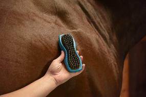 img 2 attached to Wahl Pro Animal Equine Grooming Rubber Curry Horse Brush for Optimal SEO