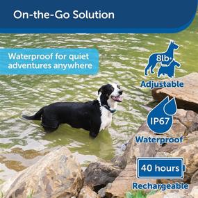 img 1 attached to 🐶 PetSafe Bark Control Collar: Waterproof Anti-Bark Training Device for Dogs 8 lb. and Up