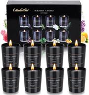 candlesir scented candles gift set 8 pack 2 5 oz scented candles gifts for women aromatherapy candle mothers day gifts candles perfect for christmas valentines day birthday logo