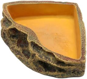 img 4 attached to 🦎 Premium Resin Reptile Feeder Bowl for Lizards, Geckos, Dragons, and Turtles