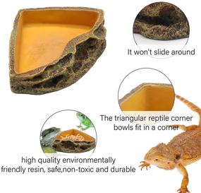 img 1 attached to 🦎 Premium Resin Reptile Feeder Bowl for Lizards, Geckos, Dragons, and Turtles