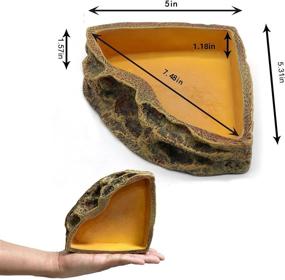 img 2 attached to 🦎 Premium Resin Reptile Feeder Bowl for Lizards, Geckos, Dragons, and Turtles