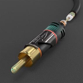 img 1 attached to 🔌 KabelDirekt – 25ft RCA Стерео Y-адаптерный кабель и шнур – (1 мужской на 2 мужских аудиокабеля, цифровой и аналоговый, двойная экранировка – поддерживает сабвуферы, домашний кинотеатр, Hi-Fi, черный)