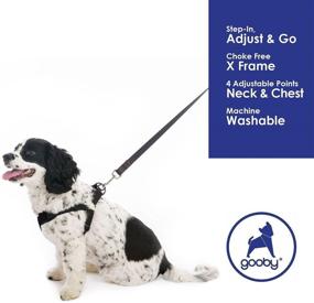 img 1 attached to Gooby Comfort X Step In Harness - No Pull Small Dog Harness with Choke-Free X Frame - Ideal for Medium and Small Dogs - Perfect Indoor and Outdoor Use