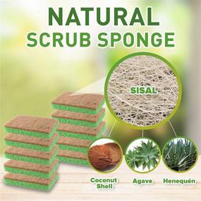 img 3 attached to 🌿 Organic Plant-Based Scrub Sponge by Scrub-it, Non-Scratch, Bio-degradable Scrubbing Sponges with a Durable Anti-Bacterial Scouring Pad for Kitchen and Bathroom – 24 Pack