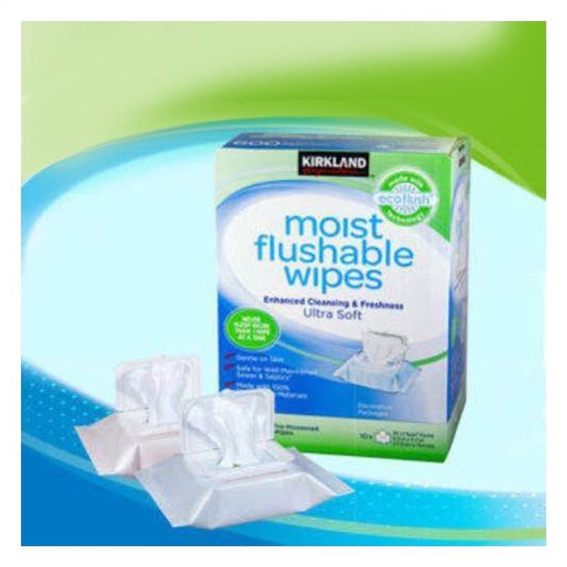 Kirkland Signature Moist Flushable Wipes Household Supplies Reviews