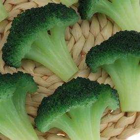 img 2 attached to Gresorth Broccoli Decoration Artificial Vegetable
