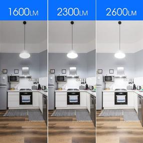 img 1 attached to 💡 Unveiling the Illumination Power: Bright Equivalent Daylight Lumens Listed