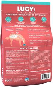 img 3 attached to 🐶 Lucy Pet Sensitive Tummy & Skin Dry Dog Food - All Breeds & Life Stages - Salmon, Pumpkin, Quinoa